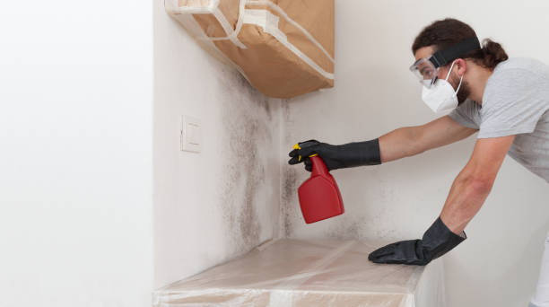Professional Basement Mold Remediation technician working in Seaside Heights, NJ