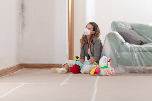 Reliable Basement Mold Remediation contractor in Seaside Heights, NJ by WQB Mold Removal